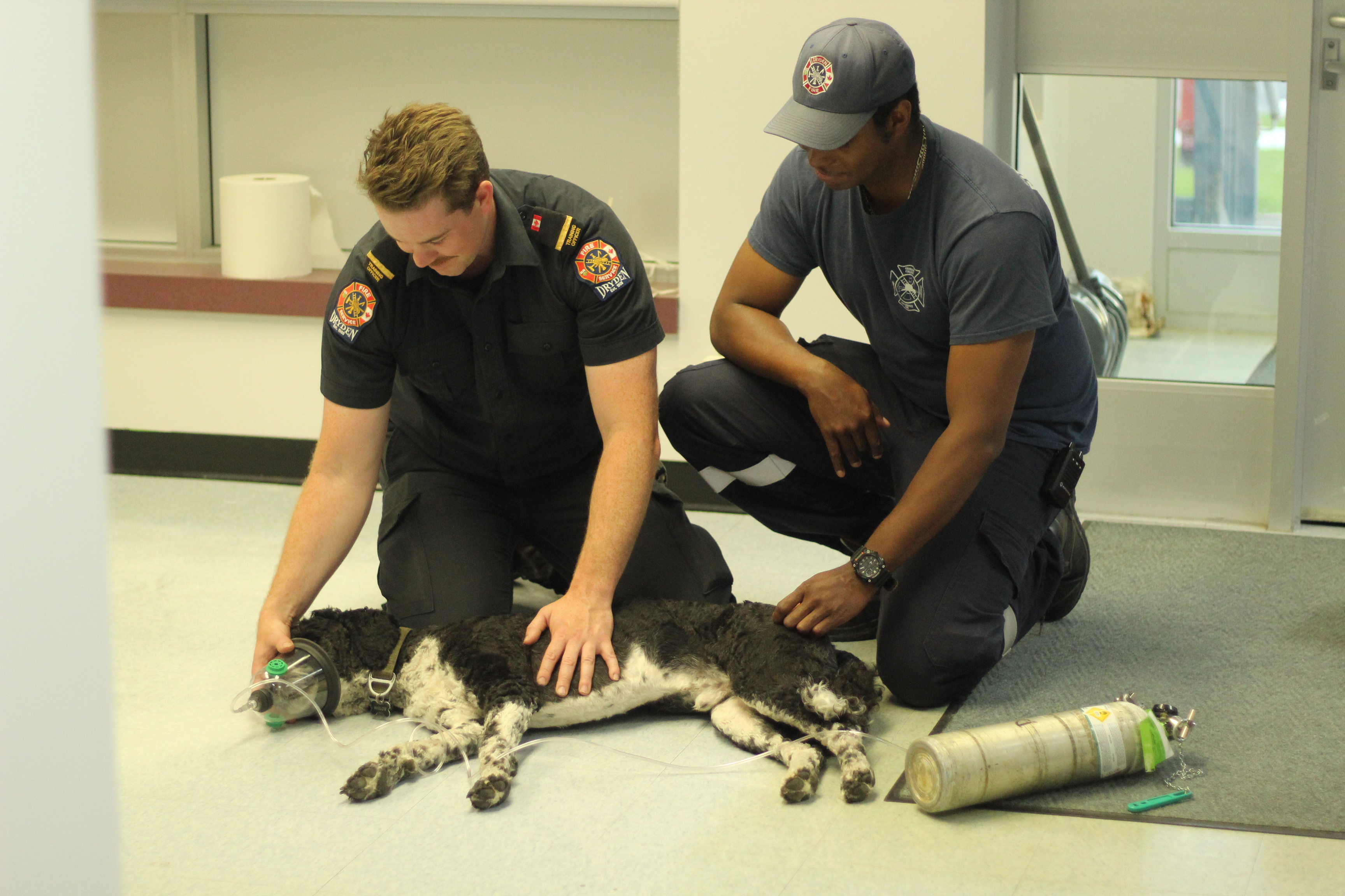 Firefighters giving a dog oxygen